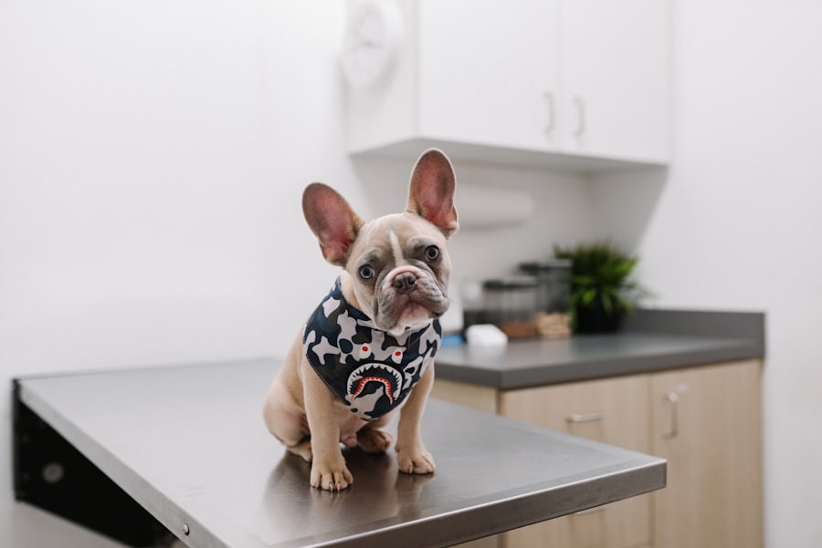 Veterinary center cleaning